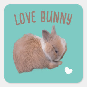 Liebe Bunny Quadratischer Aufkleber