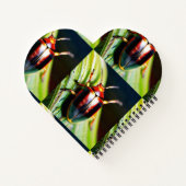 Liebe Buzz Notizblock (Rückseite)