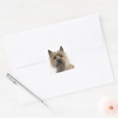 Liebe Cairn Terrier Puppy Dog Grußkleber Quadratischer Aufkleber (Umschlag)