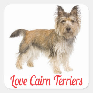 Liebe Cairn Terrier Welpenhund Grüßaufkleber Quadratischer Aufkleber