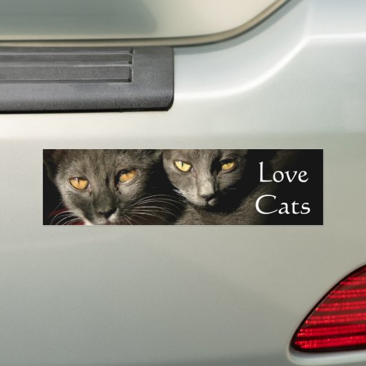 Liebe Cats Autoaufkleber (Auf Auto)
