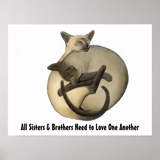 Liebe Cats Poster (Vorne)