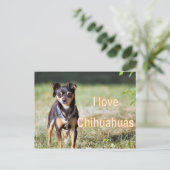 Liebe Chi Postkarte (Stehend Vorderseite)