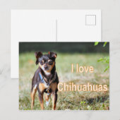 Liebe Chi Postkarte (Vorne/Hinten)