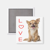 Liebe Chihuahua Puppy Dog Kühlschrankmagnet (Vorderseite/Rückseite)