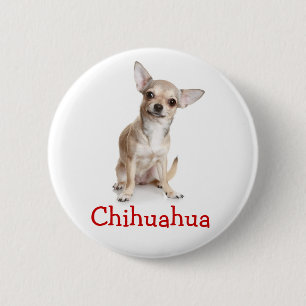 Liebe Chihuahua Welpe Dog Button Button
