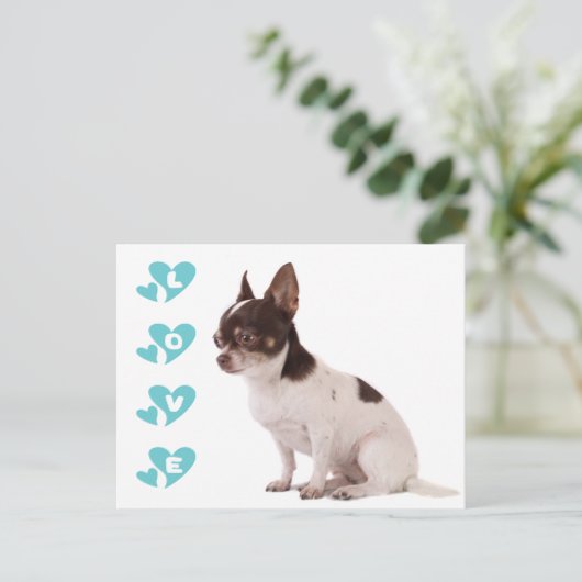 Liebe Chihuahua Welpe Doppy Post Card Postkarte (Stehend Vorderseite)