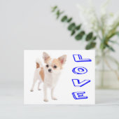 Liebe Chihuahua Welpe Doppy Post Card Postkarte (Stehend Vorderseite)