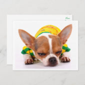 Liebe Chihuahua Welpe Doppy Post Card Postkarte (Vorne/Hinten)