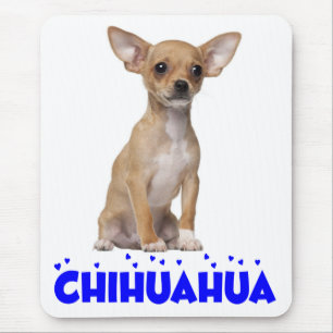 Liebe Chihuahua Welpen Hund Canine Blau Mauspad