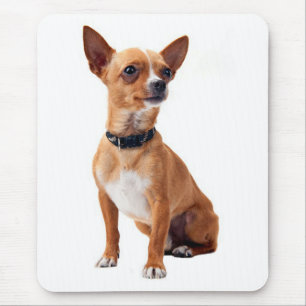 Liebe Chihuahua Welpen Hund Canine Mauspad