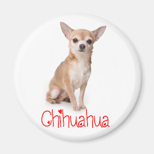 Liebe Chihuahua Welpen Hund Kühlschrank Magnet