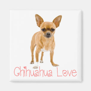 Liebe Chihuahua Welpen Hund Kühlschrank Magnet
