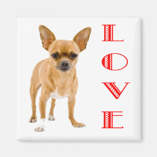 Liebe Chihuahua-Welpen-Hund-Kühlschrankmagnet Magnet
