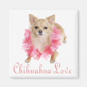 Liebe Chihuahua-Welpen-Hund-Kühlschrankmagnet Magnet