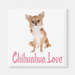 Liebe Chihuahua-Welpen-Hund-Kühlschrankmagnet Magnet
