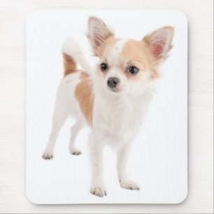 Liebe Chihuahua Welpen Hund Mauspad