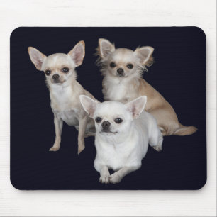 Liebe Chihuahua Welpen Hund Mauspad