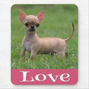 Liebe Chihuahua Welpen Hund Mauspad