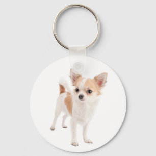 Liebe Chihuahua-Welpen-Hund-Schlüsselanhänger Schlüsselanhänger