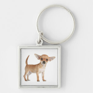 Liebe Chihuahua-Welpen-Hund-Schlüsselanhänger Schlüsselanhänger