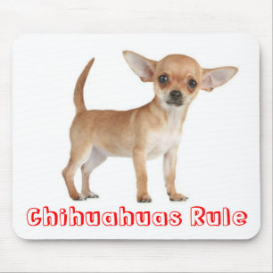 Liebe Chihuahua-Welpen-Mauspad Mousepad