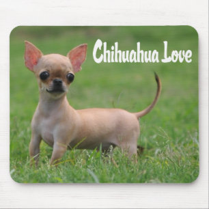 Liebe Chihuahua-Welpen-Mauspad Mousepad