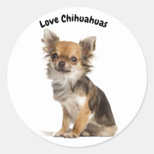 Liebe Chihuahuas Runder Aufkleber