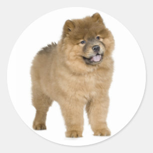 Liebe Chow Chow Puppy Hund Grußkleber Runder Aufkleber