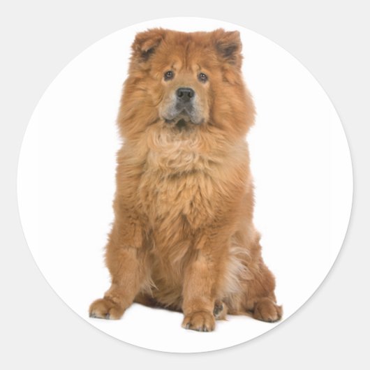 Liebe Chow Chow Welpe Hund Gruß Sticker (Vorderseite)