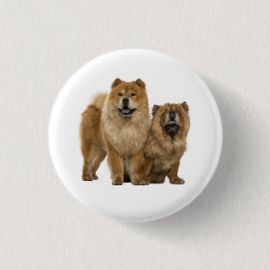 Liebe Chow Chow Welpe Hund Knopf Pin Button
