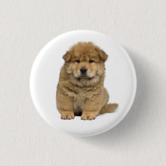 Liebe Chow Chow Welpen Hund Button Pin (Vorderseite)