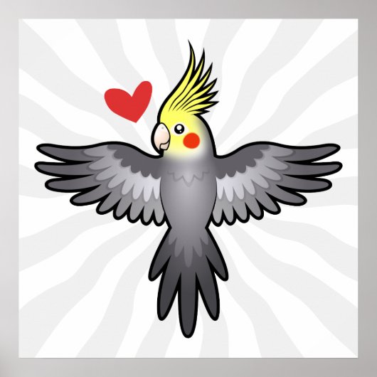 Liebe Cockatiel Poster (Vorne)