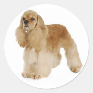 Liebe Cocker Spaniel Welpen Hund Aufkleber