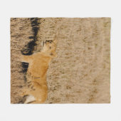 LIEBE CUB FÜR SEINE MUTTER GEWARTET FLEECEDECKE (Vorderseite (Horizontal))