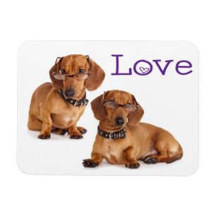 Liebe Dachshund-Welpen-Hund-Kühlschrankmagnet Magnet