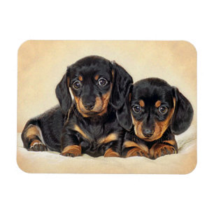 Liebe-Dachshund-Welpen-Hund-Kühlschrankmagnet Magnet
