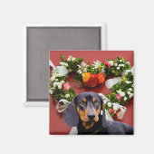 Liebe Dachsund Magnet (Vorderseite/Rückseite)