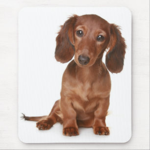 Liebe Dackel Welpen Hund Computer Mousepad