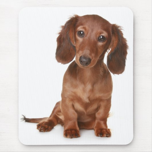 Liebe Dackel Welpen Hund Computer Mousepad (Vorne)