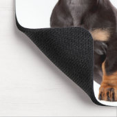 Liebe Dackel Welpen Hund Computer Mousepad (Ecke)