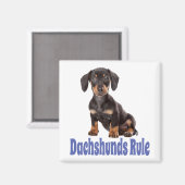 Liebe Dackel Welpen Hund Kühlschrankmagnet (Vorderseite/Rückseite)
