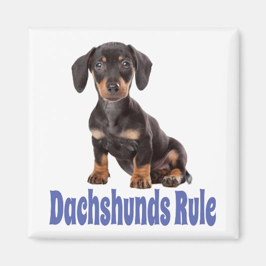 Liebe Dackel Welpen Hund Kühlschrankmagnet (Vorne)