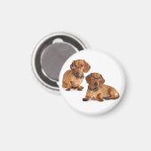 Liebe Dackel Welpen Hund Kühlschrankmagnet (Vorderseite/Rückseite)