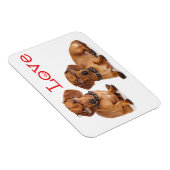 Liebe Dackel Welpen Hund Kühlschrankmagnet Magnet (Rechte Seite)