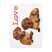 Liebe Dackel Welpen Hund Kühlschrankmagnet Magnet (Vertikal)