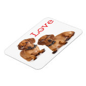 Liebe Dackel Welpen Hund Kühlschrankmagnet Magnet (Linke Seite)