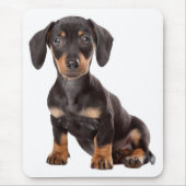 Liebe-Dackel-Welpen-Hundecomputer Mousepad (Vorne)