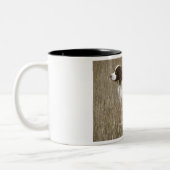 Liebe das Feld züchtete englischer Zweifarbige Tasse (Links)