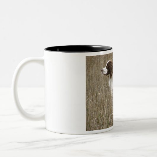 Liebe das Feld züchtete englischer Zweifarbige Tasse (Links)